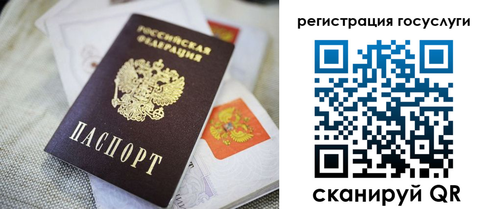 прописка гарантия в Рязанской области